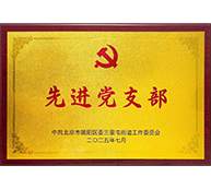 先进党支部