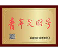 共青团北京市委员会—青年文明号
